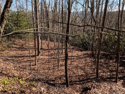 00 Pisgah Forest Drive 33