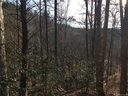 9999 Eastmoor Drive sold home in Asheville, SC