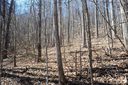 54 Great Aspen Way 701 sold home in Black Mountain, SC