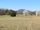 00 Greenwood Road sold home in Tryon, SC