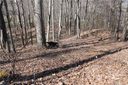 00 Inglewood Cove 56 sold home in Waynesville, SC