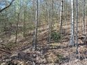 40 Shoal Creek Road 40-41-42 sold home in Balsam Grove, SC