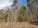 5 57 Acres Off Independence Boulevard sold home in Asheville, SC