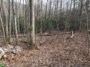 914 Wash Freeman Road 7 sold home in Hendersonville, SC