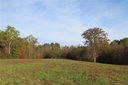 Lot 40 Tranquility Lane sold home in Harmony, SC