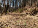 25 Treeland Road 1B sold home in Hendersonville, SC