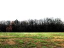 2008 Belle Forest Court 96 sold home in Waxhaw, SC