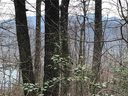 Lot 21 Tanglewood Lane sold home in Saluda, SC