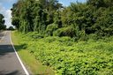 Lot 6 Idlewood Lane sold home in Forest City, SC