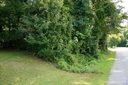 Lot 33 Greenbriar Drive sold home in Forest City, SC