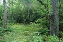 000 Winterstar Loop 9/3 sold home in Burnsville, SC