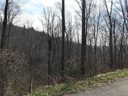 65 Leisure Lane 4 sold home in Swannanoa, SC