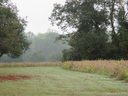 Lot 8 Maple Lane sold home in Lincolnton, SC