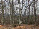214 Beacon Rock Lane Lot  #214 sold home in Waynesville, SC