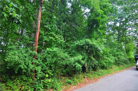 00 Fern Street Lot 5-6 sold lot in Gay Green, Asheville, NC