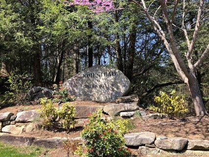 Lot 20r Shining Rock Path 20R