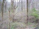 Lot 81 Turkey Run Drive sold home in Mars Hill, SC