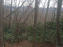99999 Pearson Lane 3 sold home in Black Mountain, SC