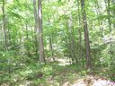 Lot 39 Cabin Creek Trail sold home in Mars Hill, SC