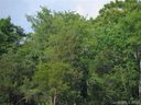 Lot 14 Goblet Road sold home in Richburg, SC