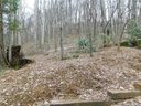 44 Apple Tree Court sold home in Waynesville, SC