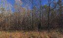 310 Blue Heron Road sold home in Salisbury, SC