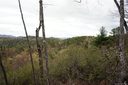 Tbd Ruffed Grouse Road 46 sold home in Brevard, SC