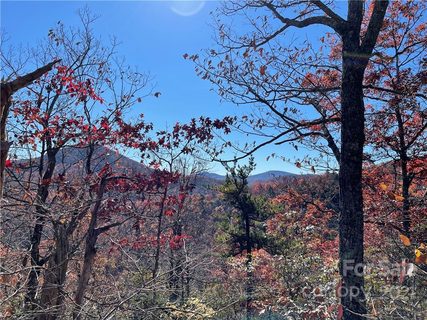 Tbd Miller Cove Road sold home in Miller Cove, Black Mountain, NC