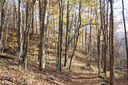 9999 Emerald Lane sold home in Maggie Valley, SC