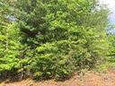 Lot 8 Whispering Pine Lane sold home in Burnsville, SC