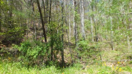 Lot 24 Freedom Lane sold land listing in Spring Creek, Hot Springs, NC