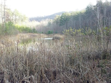 0 Cane Creek Mountain Road 11B
