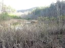 0 Cane Creek Mountain Road 11B sold home in Union Mills, SC