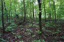 Lot 31 Bent Tree Drive sold home in Rutherfordton, SC