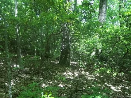 00 Old Mill Road