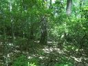00 Old Mill Road sold home in Hendersonville, SC