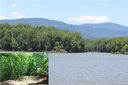 Lot 44 Peninsula Drive sold home in Mill Spring, SC