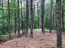 9181 Shortoff View Terrace sold home in Nebo, SC
