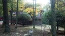105 Pinnacle Ridge Road sold home in Beech Mountain, SC