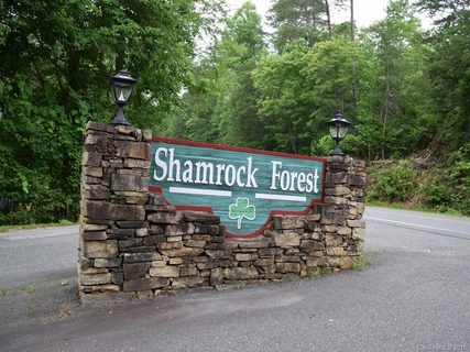 Lot 2 Dublin Lane sold home in Shamrock Forest, Columbus, NC