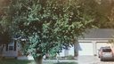 124 Julius Lane sold home in Mooresville, SC