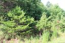 249 Donsdale Drive sold home in Statesville, SC