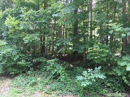 459 Beaten Path Road