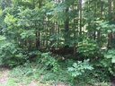 459 Beaten Path Road sold home in Mooresville, SC