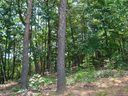 52 E Spur Ridge Drive sold home in Bostic, SC