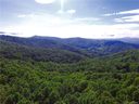 0000 Merrills Chase Road sold home in Asheville, SC