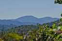 64 Flora Rose Trail sold home in Asheville, SC