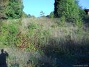 3003 Harmon Homestead Road sold home in Shelby, SC