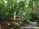 Lot 4 A Pole Cat Road sold home in Saluda, SC