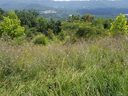 104 Fortress Ridge 13 sold home in Weaverville, SC